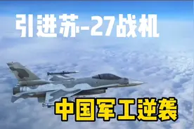 当初卖给中国苏27就是个错误！俄专家：中国抄袭仿制没给一分钱视频封面