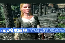 蛋蛋模拟器如何玩最新nsz格式switch游戏文件？