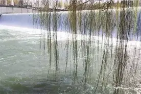 石家庄的钓友们必去的网红打卡地视频封面