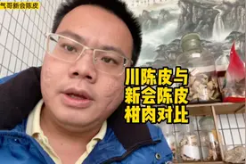 川陈皮与新会陈皮对比，川陈皮果柑肉直接吃，新会柑果肉丢弃为主视频封面