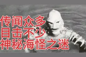 传闻实在太多，目击确实不少，神秘海怪极有可能真的存在。