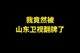 安排一下山东卫视logo视频封面