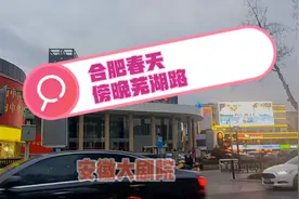 合肥芜湖路  法国梧桐 安徽大剧院视频封面