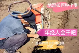 土地湿软如何种麦子，邯郸农民是这样种地，没有农民解决不了事视频封面