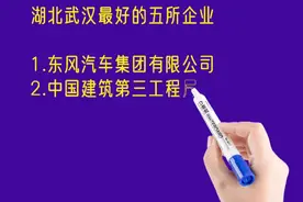 湖北武汉最好的五所企业排名视频封面