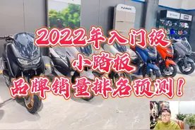 2022年入门级小踏板品牌销量排名预测！视频封面