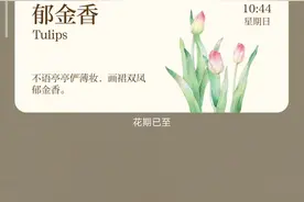 小米手机如何关闭纯净模式教程？