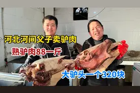 河北沧州，河间父子卖驴肉一斤88块，驴头一个320，直言不掺马肉视频封面