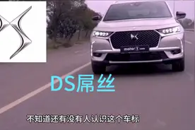 DS屌丝车标视频封面