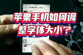 苹果手机如何调整字体大小？视频封面