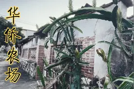 1978年几十万越南华侨回国，他们被安置在哪里？现在过得怎么样？