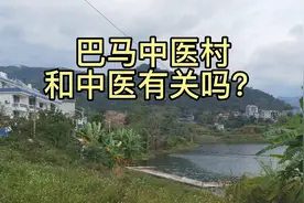 巴马中医村和中医有关吗？租房单间800元，坡月候鸟人为啥移居这视频封面