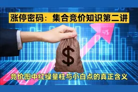 超级干货：分享集合竞价图中红绿柱和小白点所代表的真正含义！