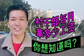 当村干部每个月能拿多少工资？你想知道吗？视频封面