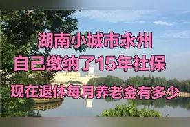 湖南小城市永州，自己缴纳了15年社保，现在退休金每月有多少？视频封面