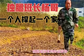 退役老兵杨哥，意外失去左腿，靠单腿一个人撑起一个家！感动全网视频封面