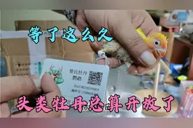 等了这么久，头类牡丹总算开放了，前提是带有合法标识哦