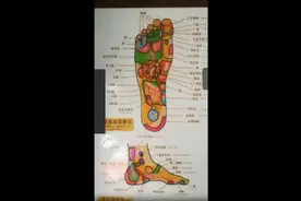 右足足底反射区详图