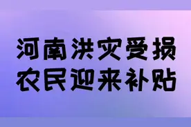 河南洪灾受损，农民迎来补贴，绝收农田每亩补贴50元视频封面
