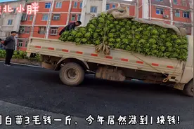 惊讶，北京今年囤大白菜价格涨了3倍！老百姓准备节衣缩食过寒冬视频封面