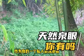 有天然泉眼的房子占地还有两亩？这个院子如何改造，你来看看