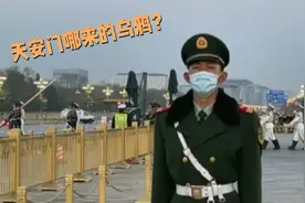 4月7日天安门升国旗仪式现场传来乌鸦的叫声，这有什么寓意视频封面