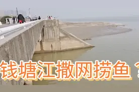 杭州钱塘江边偶遇大叔撒网捕鱼，大叔说这个季节能捕到，但是少！视频封面