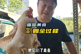 在乡村宰杀土鸡全过程