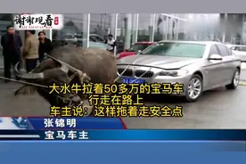 50多万的宝马被大水牛拖着逛街，车主表示：这样拖着走安全点