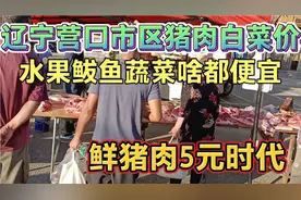 辽宁营口市区猪肉太便宜啦！进入5元时代啦，看这里啥都便宜视频封面