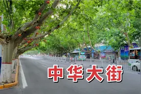 实拍邯郸最美的道路，中华大街，两边的法国梧桐树太让人震撼了