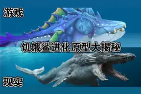 饥饿鲨进化现实原型大揭秘，这些鲨鱼的原型居然这么凶猛可怕视频封面