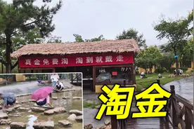 这条河里真金免费淘，美女游客淘了一大包直接拿走，老吉眼红了！视频封面