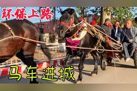 近日河南商丘为啥“禁止电动三轮四轮车”上路，马车上路可以吗？视频封面