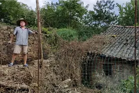 老宅常年无人打理，藤蔓杂草都长到屋顶上了，小罗顶着烈日清理视频封面