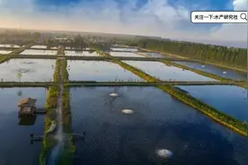 水产养殖池塘敌害生物怎样都清不掉，不妨试下下面几种药品和方法