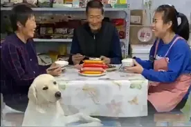 双汇火腿肠的鲜香，让炒菜变得更加好吃。