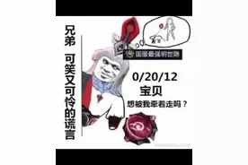 《王者荣耀峡谷表情包》视频封面