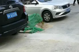 西坑村开始拆了视频封面