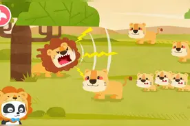 奇妙的动物王国:为什么是狮子妈妈去捕食，小朋友你知道吗视频封面