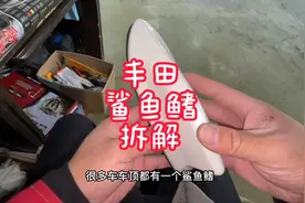丰田鲨鱼鳍天线拆解，鲨鱼鳍，收音机天线视频封面
