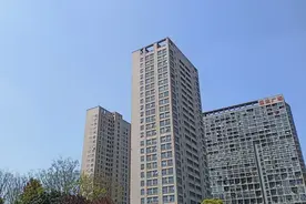 放风筝对心脏好还跟什么有关？查了百度才知道，赶紧去放风筝吧！视频封面