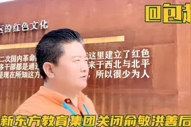 包超讲：为何新东方教育集团关闭教育培训俞敏洪总校长善后获赞？视频封面