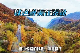 自驾翻越宝鸡秦岭梁，一路追寻秦岭最美秋色