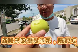 生活在新疆太幸福，马路上都是苹果，饭后水果，免费随便吃视频封面
