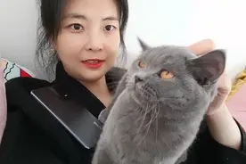 妮妮今天去猫咖，教你正确撸猫姿势，保证小猫咪一眼就喜欢你