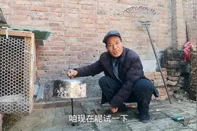 家里老鼠多不用怕，只需一个不用的锅，大小老鼠就能全抓净视频封面