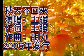 【经典音乐】王强 — 秋天不回来