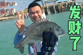 盘点渔人阿烽赶海鱼获，一天赚2000元不算高，最高的时候超乎想象