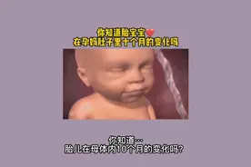 胎宝宝在孕妈肚子里10个月的发育情况～视频封面